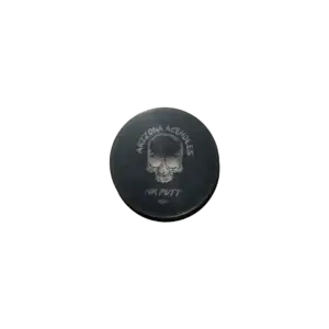 MR. PUTT AceHole Disc